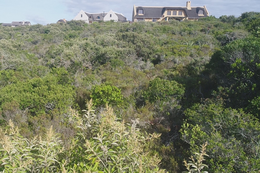 0 Bedroom Property for Sale in Springerbaai Eco Estate Western Cape